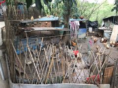 -洞背山庄(洞背院区式管理小区店)