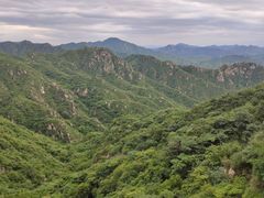 -大岭沟猕猴桃谷风景区