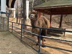 -大连森林动物园