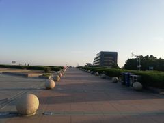 -南汇嘴观海公园