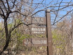-阳台山自然风景区