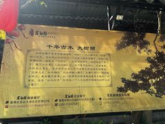 -大树头森林餐厅(番禺广场店)