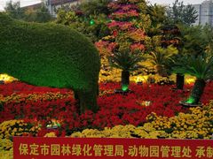 -保定市动物园