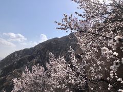 -北京凤凰岭
