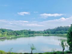 -福建鲤鱼洲酒店