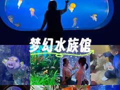 -太平洋海底世界