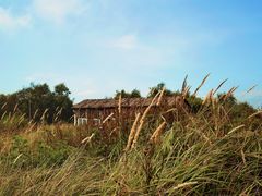-野三坡百草畔景区
