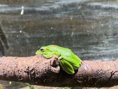 -正佳雨林生态植物园
