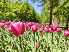 -长春公园(普阳街道)