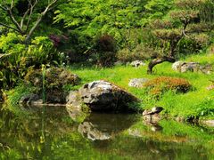 -杭州植物园
