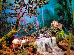 -武汉园博园(武汉自然博物馆)