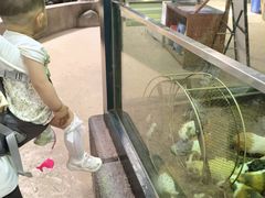 -福州罗源湾海洋世界旅游区