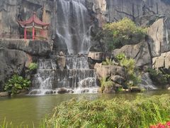 -金鸡山公园