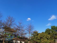 -观澜山水田园