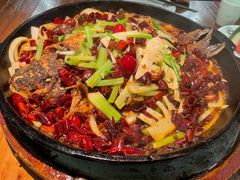 -老板恋上鱼(振华商厦店)