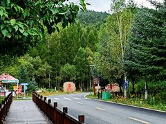 -横道河子东北虎林园