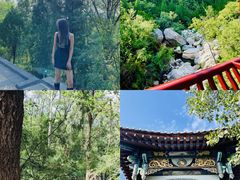 -禅宗少林·音乐大典