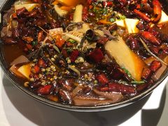 经典毛血旺-乔阿马·江南味·驴肉香(龙湖华泾天街店)