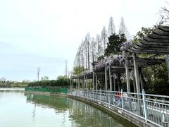 -黄兴公园