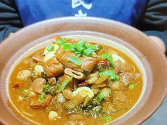 -杨氏青龙虾·羊蝎子(托乐嘉店)