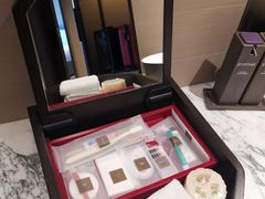 -新加坡瑞士史丹福酒店