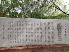 -桃花堤公园