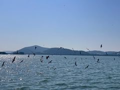 -蠡湖大桥公园