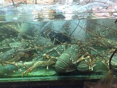 -班赞海鲜市场