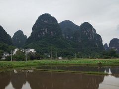 -大师傅金奖啤酒鱼(西街口总店)