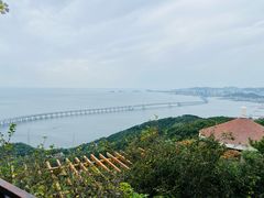-星海湾跨海大桥