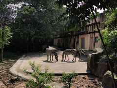 -南昌动物园