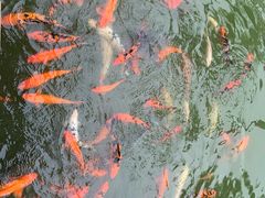 -花溪雨·森林餐厅(石基店)