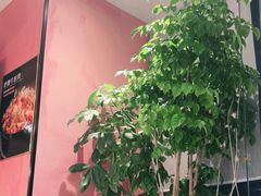 -兴蓉合川湘私房菜巫山烤鱼(人大店)