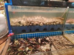 -鹿客臻鲜海鲜自助餐厅(永旺店)
