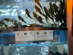 -老船舫·现做活鲜鱼馆(东郊记忆店)