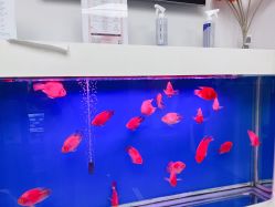 -圣瑞医疗上海圣恩儿科门诊部