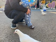 -烟台海昌鲸鲨海洋公园