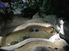 -泉城欧乐堡海洋极地世界