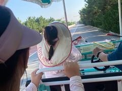 -日照海滨国家森林公园