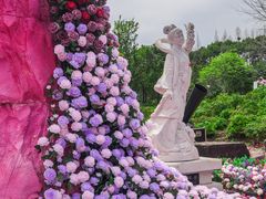 -尚湖风景区