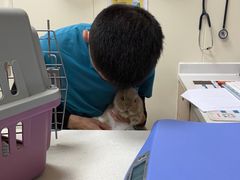 -瑞鹏宠物医院·骨科·猫科·内科(第一中心)