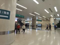 -中国人民解放军总医院