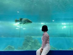 -苏州海洋馆
