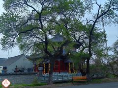 -北山公园