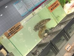 -金滏山烤肉·海鲜·火锅自助餐厅(襄阳万达店)