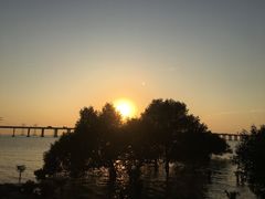 -宝安西湾红树林湿地公园