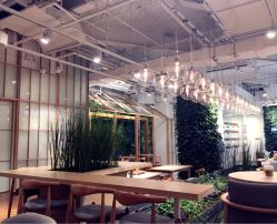 -悦诗风吟innisfree