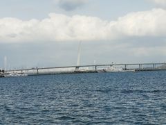 -深圳湾公园(南山区)