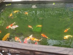 -华庭苑农家乐(旺山店)