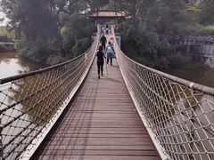 -铁山坪森林公园